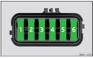 Afb. 172